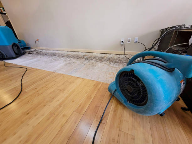 Professional Water Removal technician working in Merrimac, MA